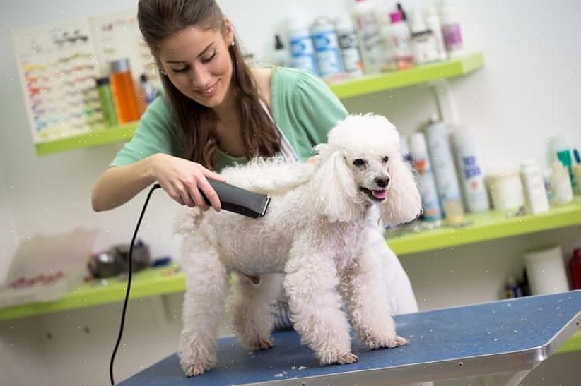 Você realmente não pode contornar a necessidade de um estilista para cortar seu cabelo