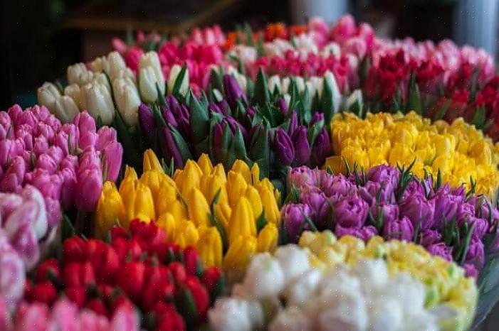 Estas são apenas algumas das maneiras de escolher as flores do casamento em julho