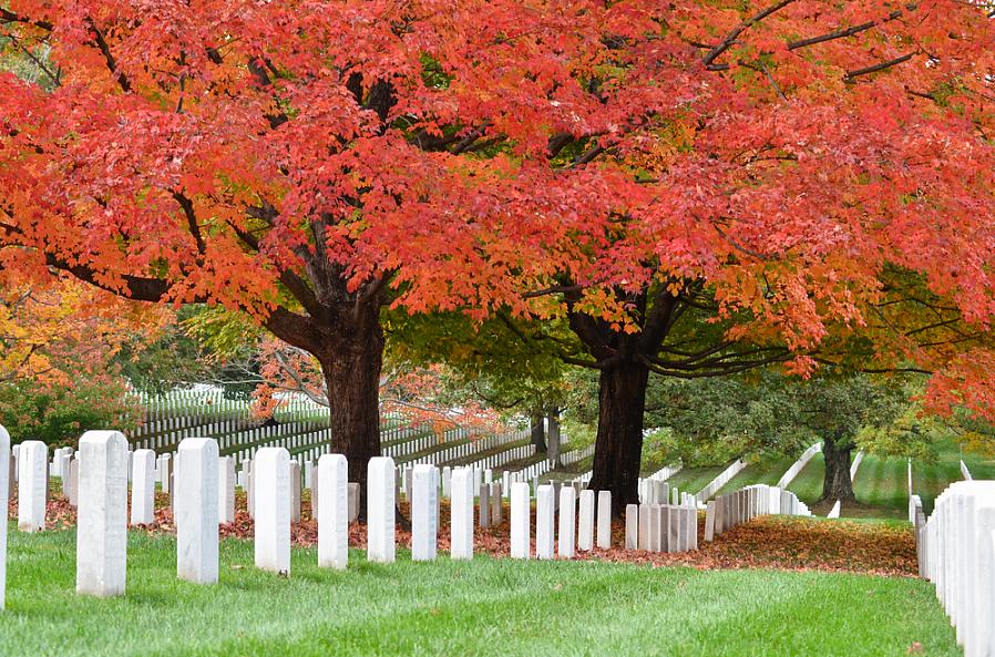 Se você está tentando encontrar o túmulo de um herói de guerra no Cemitério Nacional de Arlington