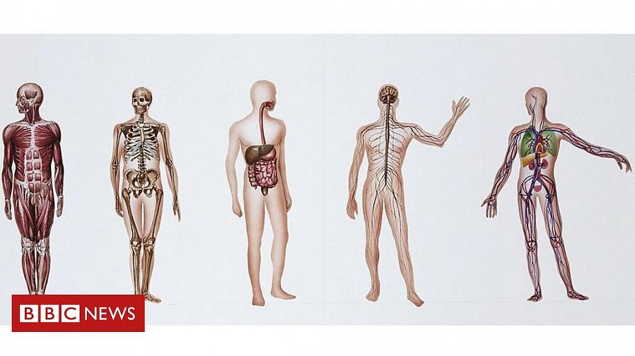 Todos os departamentos médicos de diferentes instituições educacionais têm seus próprios programas de doação