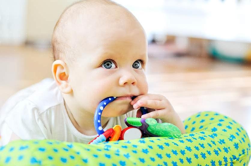 Para brinquedos de pelúcia na máquina de lavar