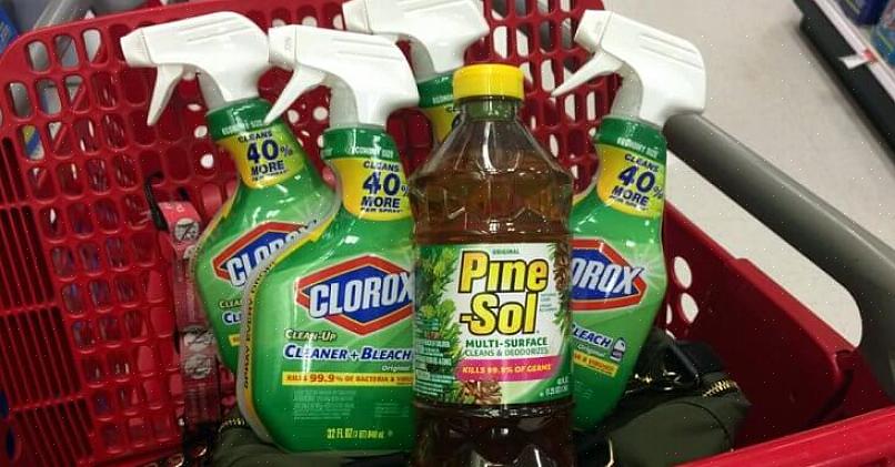 Pode usar o Pine Sol em uma mistura de 0,25 xícara na água de enxágue para livrar o carpete de pulgas