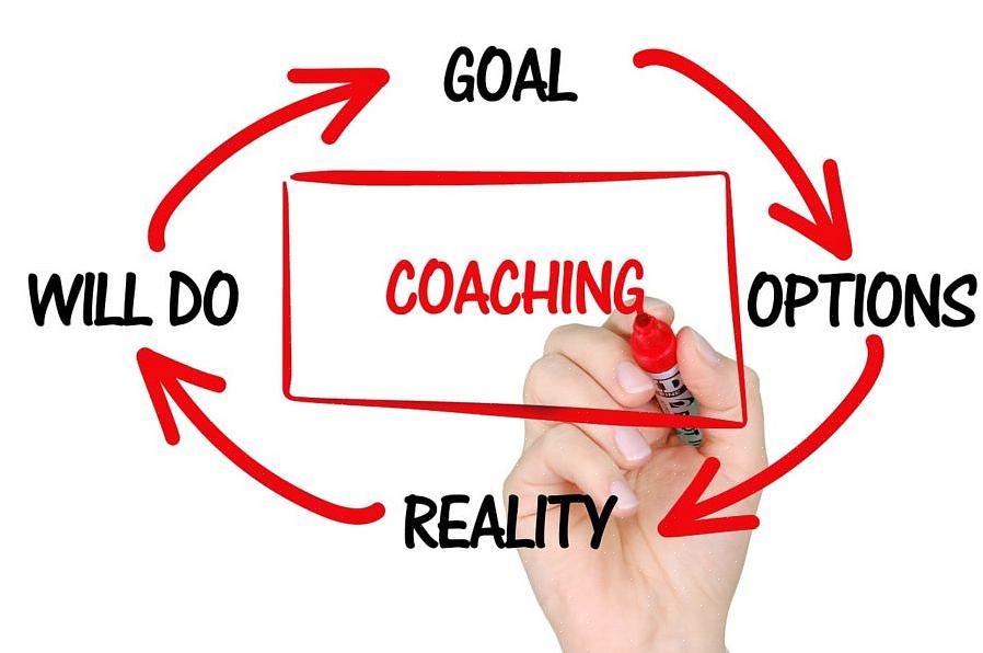 O coaching pode ser descrito como uma plataforma de entrega profissional